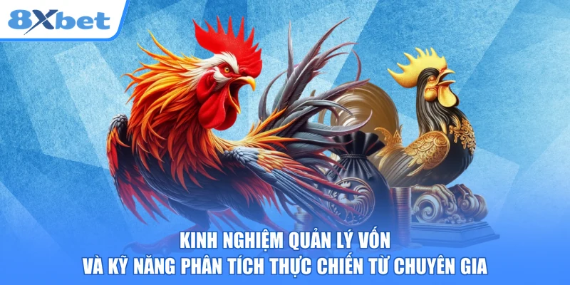 Kinh nghiệm quản lý vốn và kỹ năng phân tích thực chiến từ chuyên gia