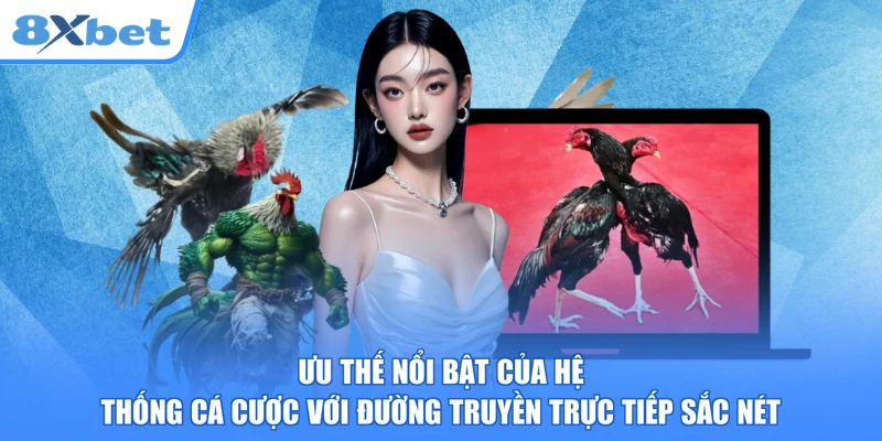 Ưu thế nổi bật của hệ thống cá cược với đường truyền trực tiếp sắc nét